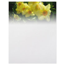 Jonquils/Daffodils/Narcissus Personalized Letterhead