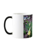 Jonquils mugs