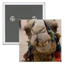 Jordan, Ancient Nabataean city of Petra. Local Buttons
