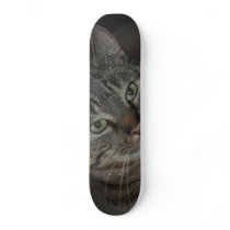 Jos the cat skate deck