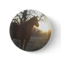 Jose Benito Pin