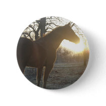 Jose Benito Pinback Button
