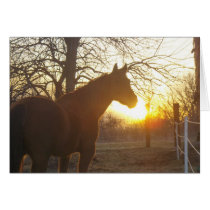Jose benito greeting card