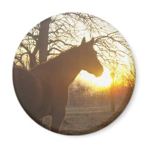 Jose benito fridge magnet