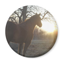 Jose Benito Fridge Magnet