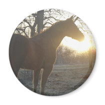 Jose Benito Refrigerator Magnet