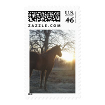 Jose Benito Postage Stamps