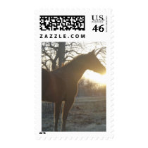 Jose Benito Postage Stamps