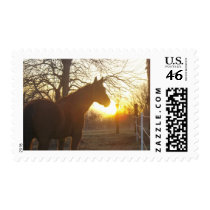 Jose benito postage stamps