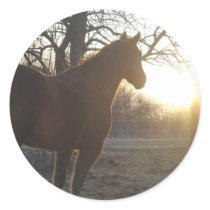 Jose Benito Round Sticker