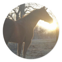 Jose Benito Round Sticker