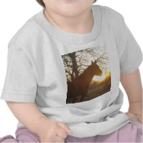 Jose benito tees