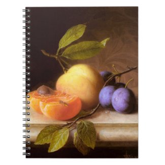 Joseph Peter Wilms: Peaches and Plums