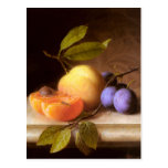 Joseph Peter Wilms - Peaches and Plums postcards