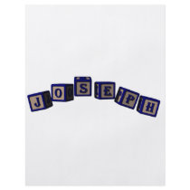 Joseph toy blocks in blue flyers by toyblocks Joseph toy blocks in blue flyers