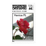 Joseph's Coat Climbing Rose Postage postage