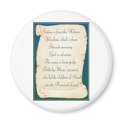 joshua fridge magnets by toots1