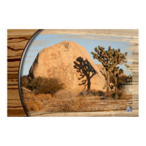 JOSHUA SHADOW posters by sandytravel JOSHUA SHADOW posters