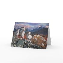 Joshua Spies Note Card