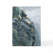 Joshua Spies Note Card