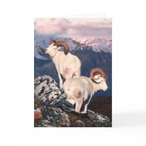 Joshua Spies Note Card
