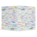 Joshua Text Design II Binder