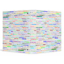Joshua Text Design II Binder by SjStevenson Joshua Text Design II Binder