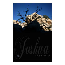 JOSHUA TREE 2006 posters