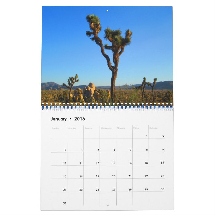 Joshua Tree 2016 By Julia Hanna Calendar