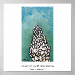 Joshua Tree Blossom Poster