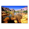 Joshua Tree, California print