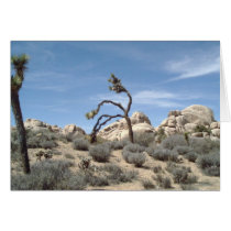 Joshua Tree cards