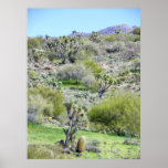 Joshua Tree Heaven Poster