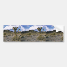 Joshua tree in the desert bumper stickers