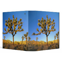 Joshua Tree National Park, California. USA. 3 Ring Binders