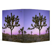 JOSHUA TREE NATIONAL PARK, CALIFORNIA. USA. VINYL BINDERS