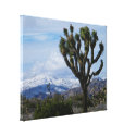 Joshua Tree National Park wrappedcanvas
