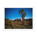 Joshua Tree National Park Postcards