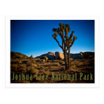 Joshua Tree National Park Postcards