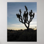 Joshua Tree National Park Poster