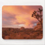 Joshua Tree National Park - Sunrise Mouse Mat