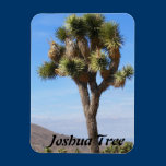 Joshua Tree Premium Magnet magnets