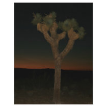 Joshua Tree Sunset letterhead by Barnabas7 Joshua Tree Sunset letterhead