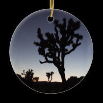 Joshua Tree Twilight ornaments