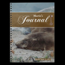 Journal Notebook - Sea Lion notebooks
