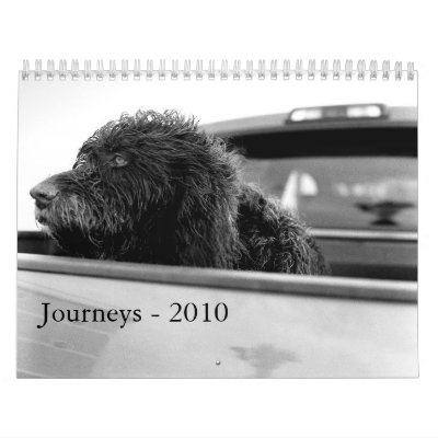 Journeys - 2010 calendar by plester3738