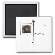 Joy and happiness photo magnet magnet