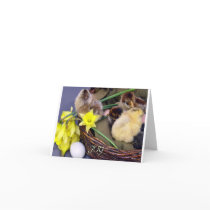 Joy Cards