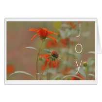 Joy cards