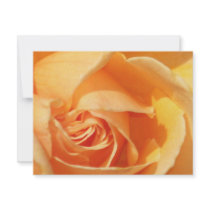 Joy_ invitations by ELENNE Joy_ invitations